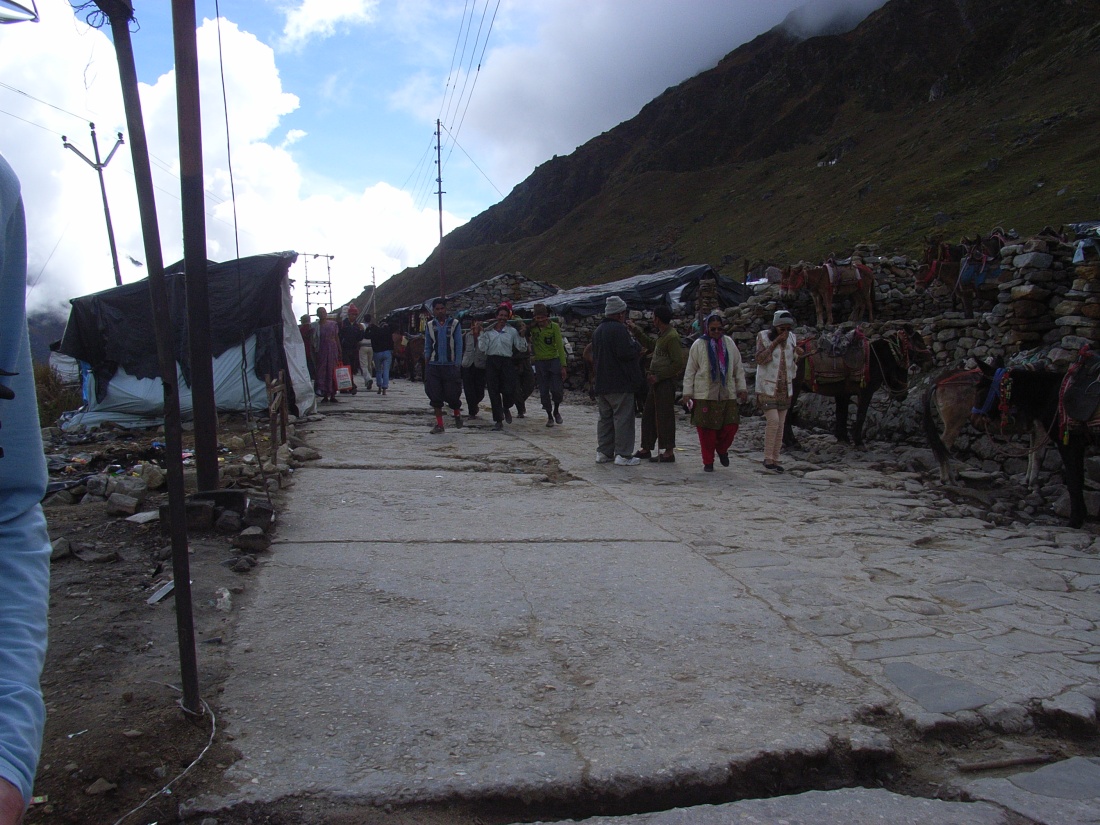 Mules and muleteers at Kedarnath, Uttarakhand, India. Trek Day 15